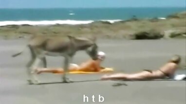 Süt, bal amatör kamera porno su hiçbir tha 1 sağlar