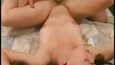 Seksi kolej